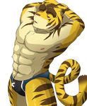  anthro armpits arms_above_head biceps big_muscles bulge feline hands_above_head hands_behind_head looking_down male mammal morenatsu muscles nipples open_mouth pecs plain_background solo speedo swimsuit tiger topless torahiko torahiko_ooshima unknown_artist white_background 