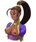  pullum_purna street_fighter tagme 