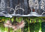  bad_id bad_pixiv_id cherry_blossoms copyright_request different_reflection forest kui_ryouko landscape nature reflection snow solo tree 