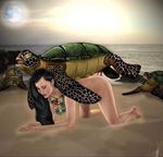  sea_turtle tagme 