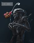  alien aliens_vs_predator predator todex xenomorph yautja 