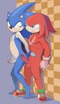  battle_angel knuckles_the_echidna sonic_team sonic_the_hedgehog tagme 