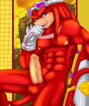  binky knuckles_the_echidna sonic_team tagme 