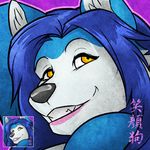  canine cool_colors female hair hopey icon long_hair mammal solo wfa wolf wolfess 