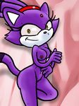  amber_eyes blaze_the_cat breasts cat creepy disturbing evil_grin feline female fur hair looking_at_viewer mammal nipples papyboyton ponytail purple purple_body purple_fur purple_hair pussy sega smile solo sonic_(series) tail 