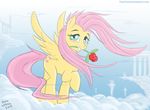  cloud clouds equine female feral flower fluttershy_(mlp) friendship_is_magic hasbro horse mammal my_little_pony pegasus pony poor_yorick rose solo wings 
