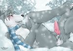  balls blush cum knot lunar_epitaph lying male masturbation nude on_back outside penis precum raised_leg scarf snow solo winter 