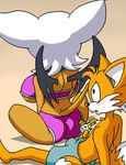  bat big_breasts blush breasts bulge canine dboy duo female fox green_eyes male mammal miles_prower rouge_the_bat sega side_boob sonic_(series) swimsuit tail warm_colors wings 