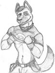  chain collar dog german_shepherd greyscale hair male mammal monochrome navel otterlot plain_background seductive sketch solo undressing white_background 