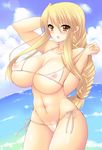  agrias_oaks bikini bikini_pull blonde_hair blush braid breasts brown_eyes cleavage erect_nipples female final_fantasy final_fantasy_tactics large_breasts long_hair midriff pocopoco see-through single_braid sky solo swimsuit water 