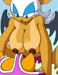  big_breasts breasts canine dboy female fox green_eyes male mammal miles_prower nipples rouge_the_bat sega sonic_(series) swimsuit tan_line undressing warm_colors wings 