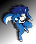  anthro biceps big_breasts blue blue_body blue_hair breasts canine collaboration cool_colors female gillpanda hair hopey japanese_text long_hair mammal muscles muscular_female solo text vulpinehero weapon wolf wolfess 