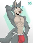 absurd_res anthro balls beastars bulge canid canine canis clothed clothing colored digital_drawing_(artwork) digital_media_(artwork) fur genitals hi_res jockstrap legoshi_(beastars) male mammal muscular muscular_male partially_clothed shaded simple_background smile solo tail underwear whippedmint wolf