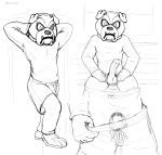 anthro bottomwear bulge bulldog canid canine canis clothing costume domestic_dog erection foreskin fursuit genitals guide_lines hi_res human lewd_latte male mammal mask mastiff molosser penis reference_image shorts sketch sketch_page solo