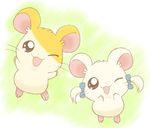  bijou bow brown_eyes chibi cute female hair_tuft hamster hamtaro hamtaro_(series) looking_at_viewer male mammal mymelody-hellokitty one_eye_closed open_mouth ponytail rodent smile wink 