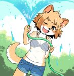 anthro bottomwear bra breasts brown_hair canid canine canis clothing cute_fangs cutoffs denim denim_bottomwear denim_clothing domestic_dog female fluffy fur hair holding_object hose kemono looking_at_viewer mammal midriff multicolored_body multicolored_fur navel neck_tuft one_eye_closed open_mouth outside playing shiba_inu short_hair shorts solo spitz spraying_water tan_body tan_fur tomboy toraneko38 translucent translucent_clothing tuft two_tone_body two_tone_fur underwear wet wet_clothing white_body white_fur wink