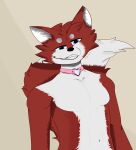 ailurid alphi_(danzukz) anthro breasts canid canine collar fox fur hi_res inner_ear_fluff male male/male mammal red_panda solo tail tuft