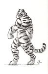  feline flaccid greyscale hufnaar male mammal monochrome muscles nude penis pose solo stripes tiger uncut white_tiger 