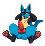 = anthro aroused balls big_balls big_penis black_body black_fur black_sclera blue_body blue_fur blush dotsrike fur generation_4_pokemon genitals heterochromia hi_res knot looking_at_viewer lucario male nagisalucario nintendo open_mouth paws penis pokemon pokemon_(species) presenting presenting_penis purple_eyes red_eyes scar sitting solo solo_focus yellow_body yellow_fur