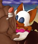 anthro bat big_the_cat dusks_smut_place faceless_character faceless_male fellatio female genitals hi_res human human_on_anthro humanoid interspecies licking male male/female mammal oral penile penis penis_lick rouge_the_bat sega sex size_difference sonic_the_hedgehog_(series) tongue
