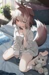  1girl :p animal_collar animal_ear_fluff animal_ears bare_legs barefoot bed blue_eyes breasts brown_hair collar dog_ears dog_girl dog_tail ear_down full_body hasuki_rui heterochromia highres indie_virtual_youtuber light_brown_hair long_sleeves looking_at_viewer mamemochi medium_hair multicolored_hair no_pants on_bed pillow plant potted_plant red_eyes second-party_source shirt sitting small_breasts stuffed_animal stuffed_dog stuffed_toy tail tongue tongue_out two-tone_hair virtual_youtuber wariza white_shirt 