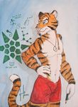  braid clothed clothing collar english_text feline fur half-dressed hand_on_hip hufnaar looking_away male mammal orange_fur pencil red shorts solo text tiger topless 