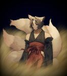  1boy aged_down alternate_costume alternate_universe animal_ears arm_strap black_kimono detached_sleeves final_fantasy final_fantasy_vii final_fantasy_vii_ever_crisis fox_boy fox_ears fox_tail grass green_eyes grey_hair hakama hattouissenbaka highres hip_vent japanese_clothes kimono looking_to_the_side male_focus multiple_tails night on_grass parted_lips pectoral_cleavage pectorals red_hakama red_sash sash sephiroth short_hair sleeveless sleeveless_kimono slit_pupils solo standing tail upper_body 