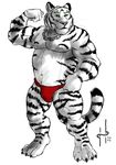  collar feline fundoshi fur green_eyes hufnaar male mammal muscles plain_background red solo speedo tiger underwear white_fur white_tiger 