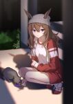  1girl animal_ears beanie breasts brown_hair cat closed_mouth ears_through_headwear grey_hat gul_(parfaitgul) gym_uniform hat highres horse_ears jacket kneeling long_hair long_sleeves looking_at_viewer nakayama_festa_(umamusume) night outdoors pet_food red_eyes red_jacket red_shorts shadow shirt shoes short_shorts shorts small_breasts sneakers solo tiptoes track_jacket umamusume white_shirt 