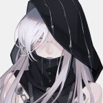  1girl chinese_commentary closed_mouth commentary_request grey_background grey_hair grey_pupils high_collar highres hood hood_up long_hair miix777 nose_piercing nox_(path_to_nowhere) path_to_nowhere piercing simple_background solo upper_body white_eyes 