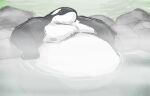 anthro arm_support belly big_belly black_body black_skin cetacean comerboy75 dolphin hi_res hot_spring male mammal marine moobs nipples nude obese obese_anthro obese_male oceanic_dolphin onsen orca oswald_(comerboy75) overweight overweight_anthro overweight_male partially_submerged rock sitting smile solo toothed_whale water wet white_body white_skin