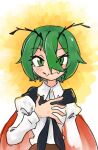  1girl antennae black_cape blush cape closed_mouth collared_shirt commentary_request derivative_work fangs green_hair hand_on_own_chest highres juliet_sleeves kaninocrab long_sleeves looking_at_viewer medium_bangs puffy_sleeves red_cape redrawn shirt short_hair skin_fangs smile solo touhou two-sided_cape two-sided_fabric upper_body white_shirt wriggle_nightbug 