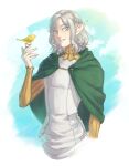  1boy absurdres bird bird_on_hand blue_background braid cape cloak day dungeon_meshi elf green_cape green_cloak grey_eyes hand_up highres long_hair long_sleves looking_at_viewer lycion neck_warmer outdoors pointy_ears solo standing white_background yvw777 