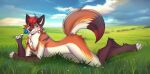  anthro blush canid canine fox girly hi_res kodaro looking_at_viewer male mammal morrrisey(artist) nude red_fox sky smile true_fox 