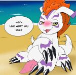  absurd_res bandai_namco beach blush claws dialogue digimon digimon_(species) feral genitals gomamon hi_res male penis solo talking_to_viewer vein veiny_penis wax_feather 