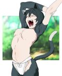  1girl animal_ears arms_up black_fur black_hair body_fur cameltoe cat_ears cat_girl cat_tail closed_eyes dungeon_meshi fangs fundoshi highres hikentai0112 izutsumi japanese_clothes open_mouth short_hair solo stretching tail tongue tongue_out topless two-tone_fur yawning 