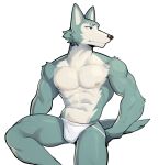  2024 abs anthro barazoku beastars biceps big_muscles bulge canid canine canis clothed clothing fur hi_res jockstrap jockstrap_only jrjresq legoshi_(beastars) male mammal muscular muscular_anthro muscular_male navel nipples pecs scar simple_background sitting solo topless topless_anthro topless_male tuft underwear underwear_only white_background wolf 