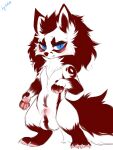 2022 animal_genitalia anthro balls blue_eyes blush canid canine chibi claws cute_fangs digital_media_(artwork) digitigrade fangs fluffy fluffy_tail flustered fox fur genitals hi_res hita9 looking_at_viewer male mammal nude penis penis_tip red_body red_fur semi-anthro sheath simple_background solo standing tail teeth white_body white_fur