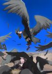  animal_focus bird day desert feathers flying furirikkuru highres looking_down mandibuzz no_humans open_mouth outdoors pokemon pokemon_(creature) sky 