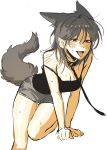  0820_lakia 1girl absurdres animal_ears bare_shoulders black_camisole blush breasts camisole cleavage collar dog_ears dog_girl dog_tail dolphin_shorts extra_ears fang grey_eyes grey_shorts hair_between_eyes highres leaning_forward leash medium_breasts medium_hair open_mouth original pet_play short_shorts shorts simple_background sketch solo spaghetti_strap strap_slip sweat tail tank_top tongue tongue_out viewer_holding_leash white_background 