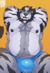 anthro armpit_hair belly black_stripes body_hair bulge fangs felid front_view fur grey_body grey_fur hands_behind_head hi_res low-angle_view male mammal musclegut muscular overweight pinup pose saber-toothed_tiger skaifox slightly_chubby solo stripes teeth