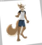  2021 4_toes 5_fingers anthro black_eyes black_nose bottomwear brown_body brown_hair clothed clothing cutoffs denim denim_bottomwear denim_clothing digitigrade feet fingers fironmaplez_(artist) fluffy fluffy_tail front_view fur hair hi_res looking_at_viewer male mammal raised_hand rodent sciurid shirt shorts simple_background smile solo squirrel_tail standing t-shirt tail toes topwear tree_squirrel tuft 