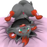  pokemon tagme zorua 