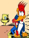  tagme winnie_woodpecker woody_woodpecker 