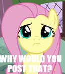  about_to_cry blue_eyes disapproving english_text female fluttershy_(mlp) friendship_is_magic frown hasbro imminent_crying imminent_sob meme my_little_pony pink_hair text 