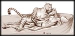  anthro argonian bad_proportions boat breasts couple cuddle cuddling duo erection feline female khajiit licking lizard male mammal penis reptile scalie small_breasts straight the_elder_scrolls tongue video_games 
