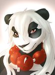  bear female hair long_hair looking_at_viewer mammal necklace panda portrait shalinka shalinka_(character) simple_background solo white_hair 