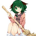  :o animal_ears bamboo_broom broom green_eyes green_hair kasodani_kyouko lowres sitting skirt solo touhou tsukikusa 
