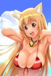  :d animal_ears armpits asobi_ni_iku_yo! bell bell_collar bikini breasts brown_hair cat_ears cleavage collar eris_(asobi_ni_iku_yo!) front-tie_top large_breasts long_hair open_mouth red_eyes smile solo strap_lift swimsuit tan tanline ueyama_michirou 