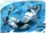  clothing dlion0000 fish half-dressed hindpaw male marine paws shark solo spread_toes swimming toes topless water webbed_feet 